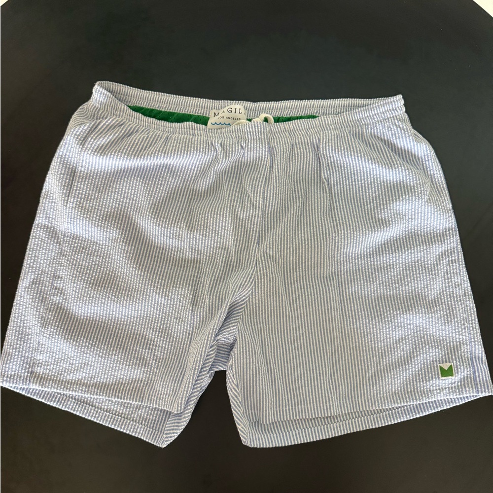 Magill LA Men's Blue and White Striped Seersucker Swim Volley Shorts